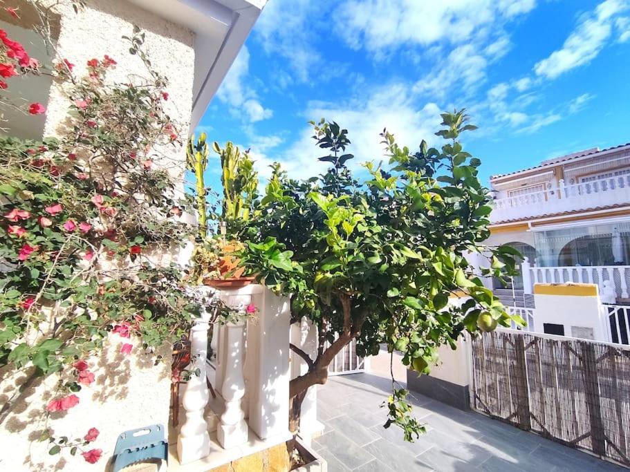Rincon Mediterraneo