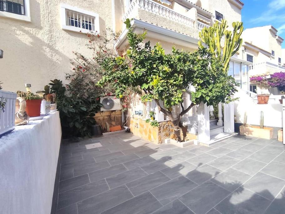 Rincon Mediterraneo